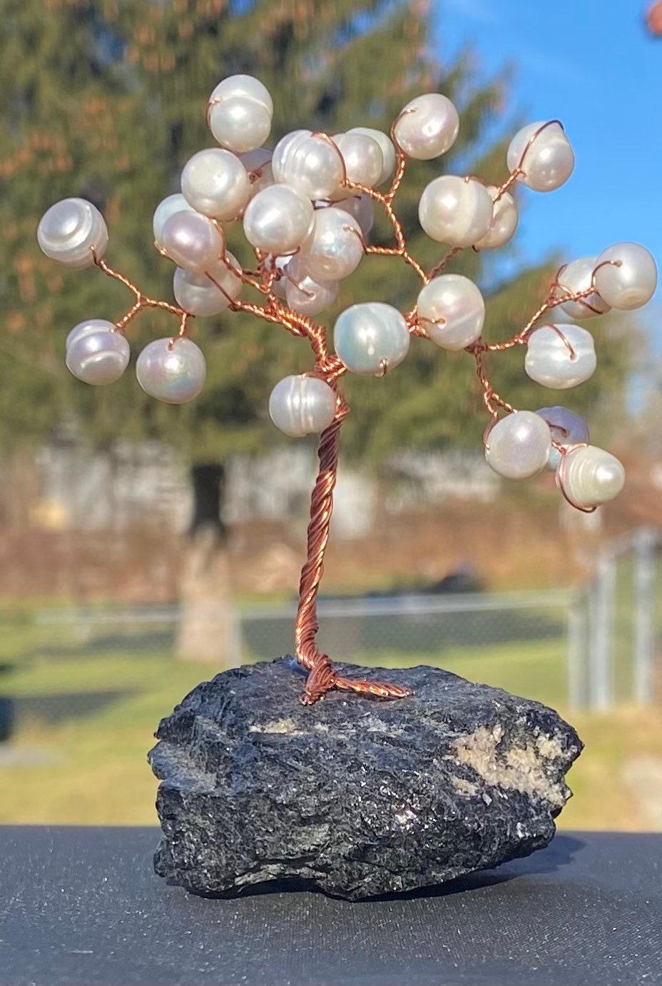 Mini pearl wire tree on black tourmaline, June birthstone