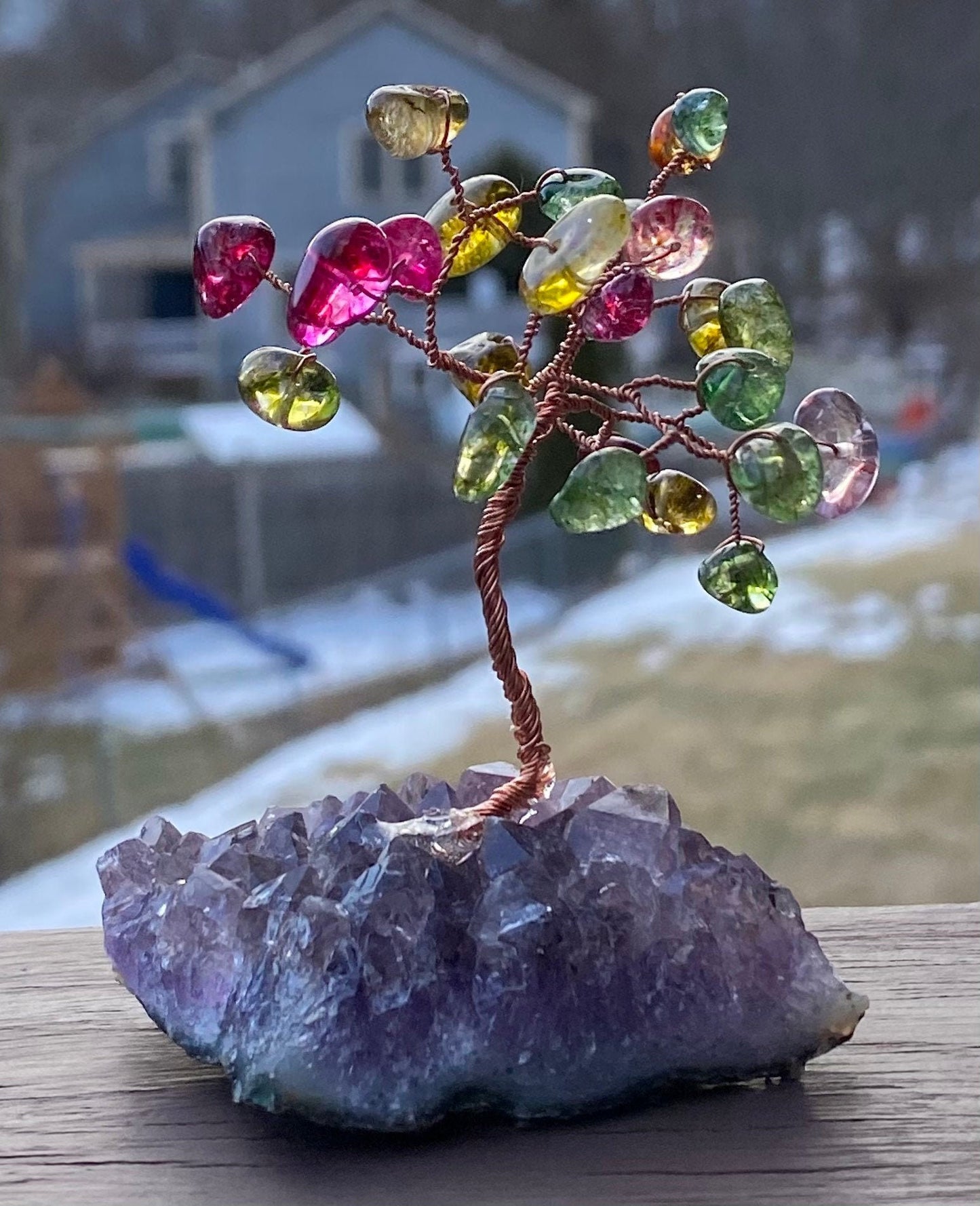 Mini colorful bonsai
