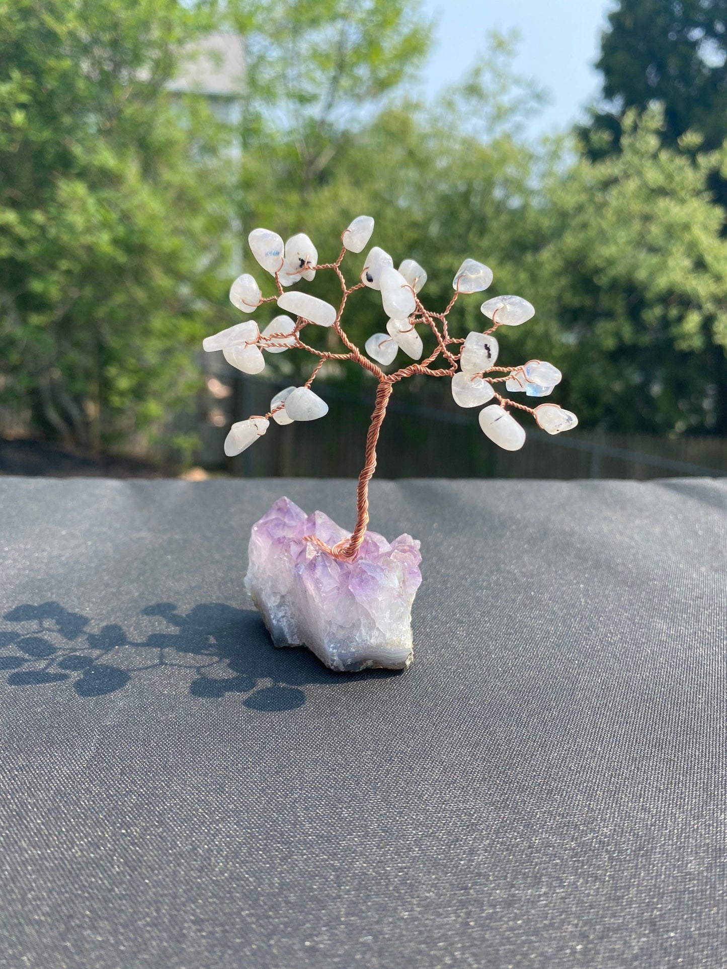Mini moon stone bonsai