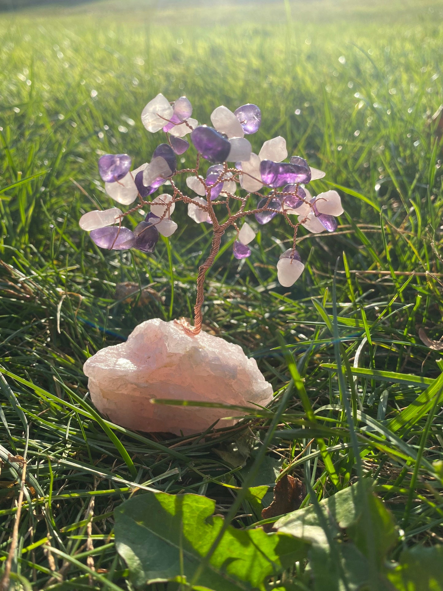 Mini rose quartz and amethyst on rose quartz crystal wire tree, gem tree, reiki, healing crystal, teen gift