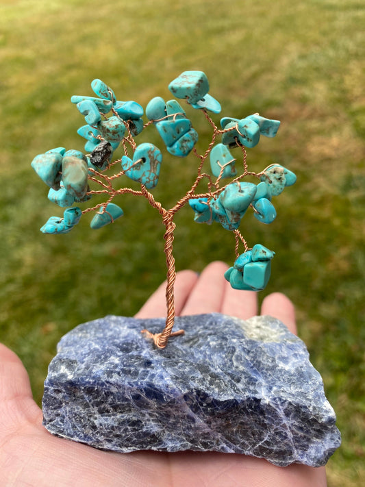 Mini turquoise tree on sodalite