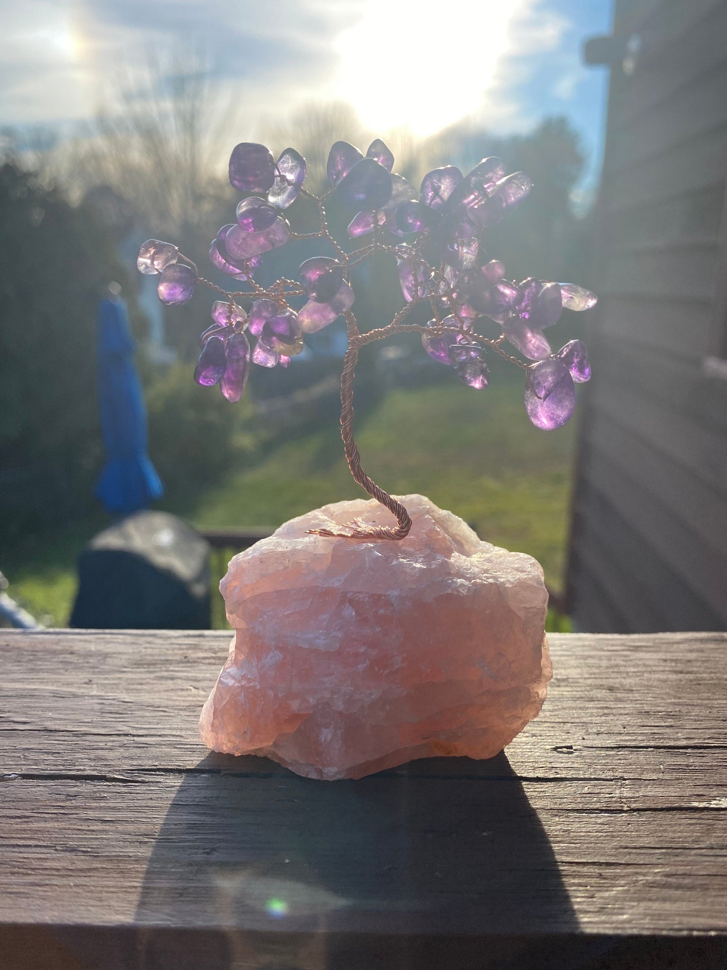 Mini Amethyst on rose quartz wire tree, bonsai, reiki, healing crystals